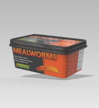 Printed Labels